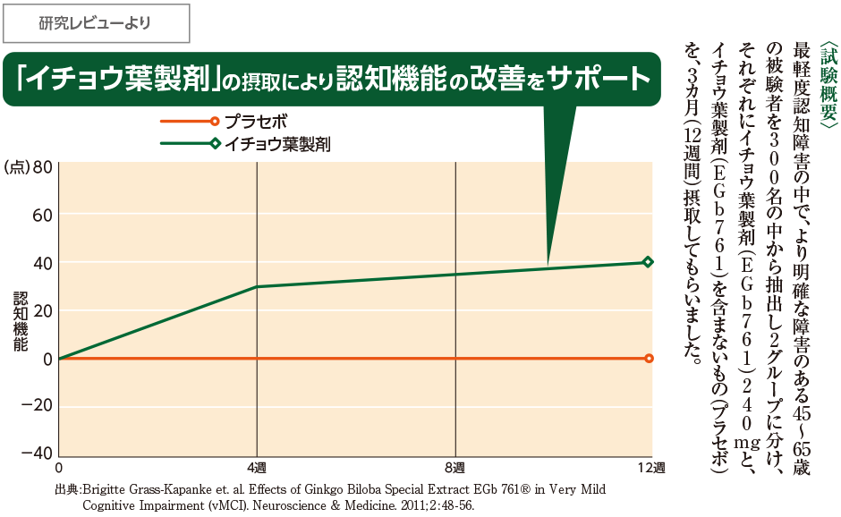 研究レビュー